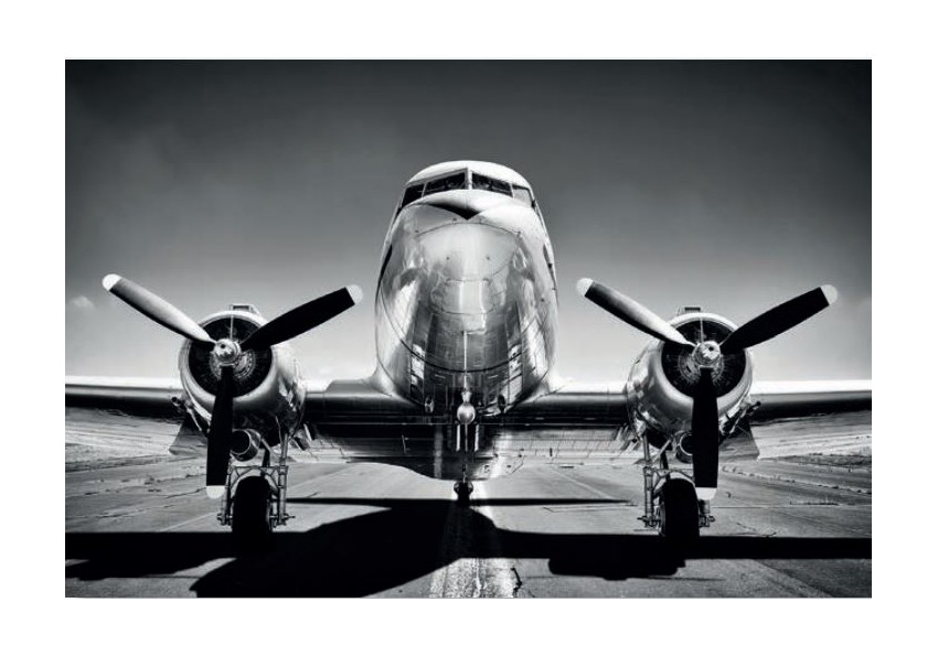 Cuadro de Avión vintage blanco y negro